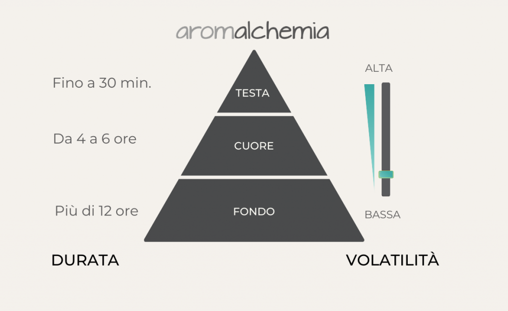 Piramide Olfattiva e note di Testa, Cuore e Fondo 